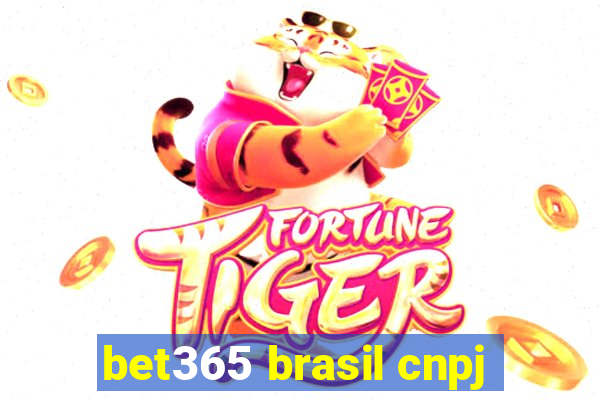 bet365 brasil cnpj